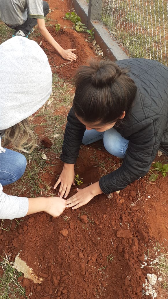 Instituições de Ensino do NRE Guarapuava participam do Programa Paraná Mais Verde
