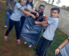Projeto de jardinagem