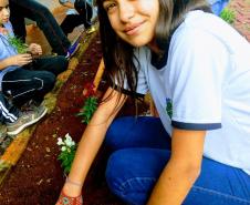 Projeto de jardinagem