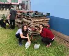 Matemática, Ciências, reciclagem, flores e muito aprendizado!