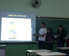 Seminários - Química Inorgânica