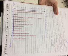 Nivelamento de aprendizagem com análise dos Descritores da Prova Paraná: uma prática de sucesso nas aulas de Química.