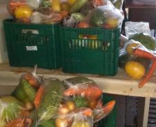 Merenda Escolar será entregue para famílias de alunos.