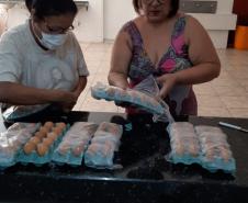 Merenda Escolar será entregue para famílias de alunos.