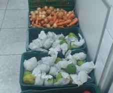 Merenda Escolar será entregue para famílias de alunos.