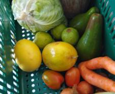 Merenda Escolar será entregue para famílias de alunos.