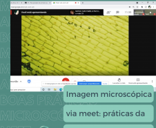 Aula de microscopia