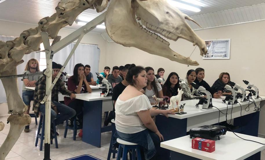 Alunos do Colégio Estadual Profa. Izabel no Centro Universitário Campo Real.