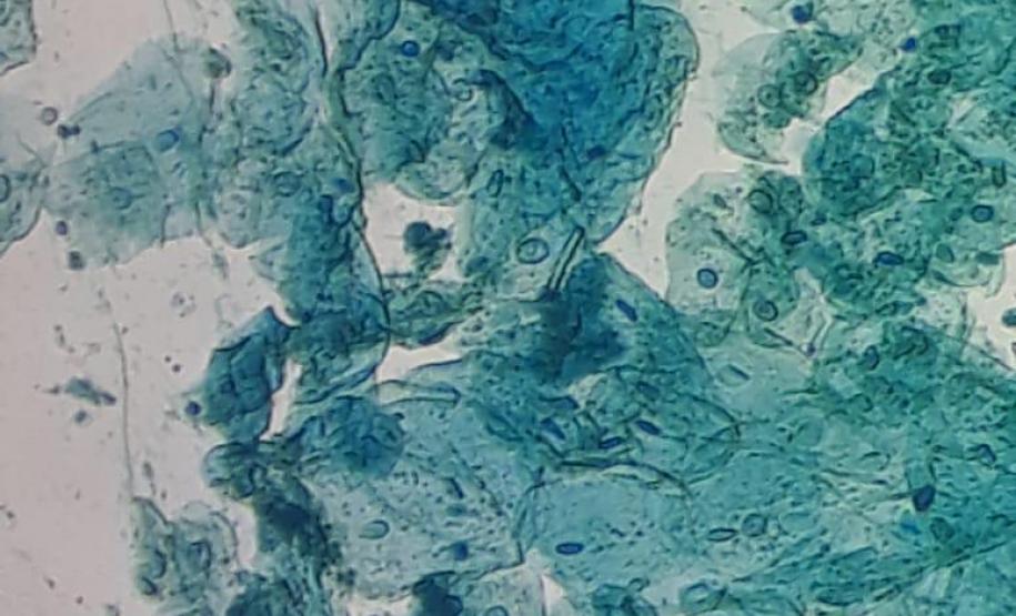 Alunos do Colégio Estadual João Ferreira Neves em aula prática, no Centro Universitário Campo Real.