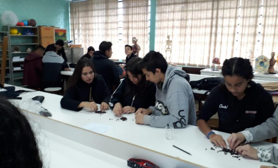 Aula de Biologia com a utilização do método de “Lincoln & Petersen”