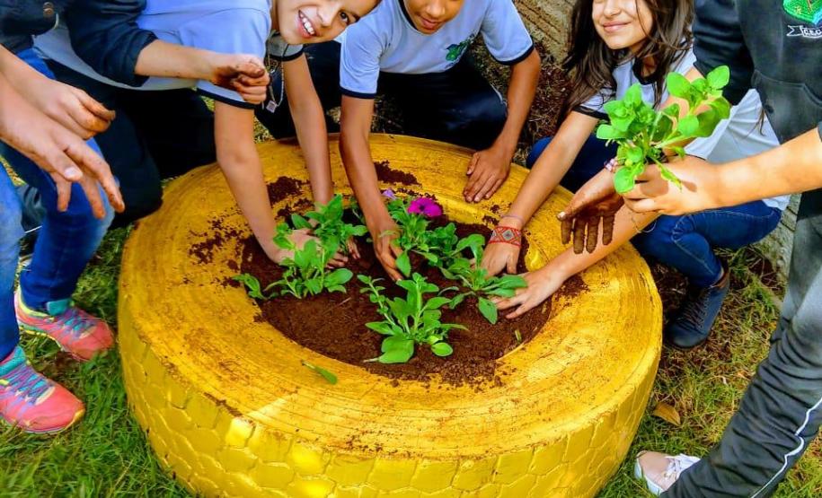 Projeto de jardinagem