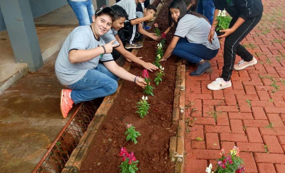 Projeto de jardinagem