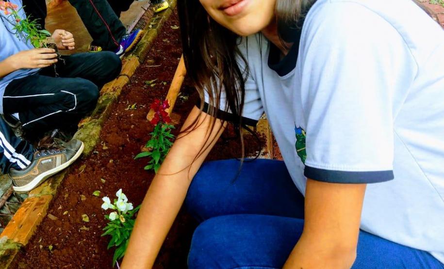 Projeto de jardinagem