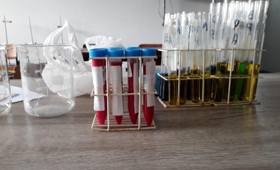 Alunos aprendem na prática como laboratórios realizam testes para determinação de fator Rh e sistema ABO
