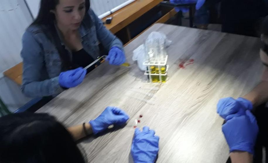 Alunos aprendem na prática como laboratórios realizam testes para determinação de fator Rh e sistema ABO