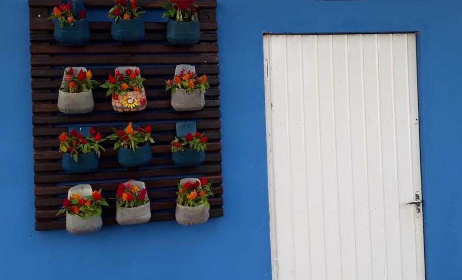 Matemática, Ciências, reciclagem, flores e muito aprendizado!