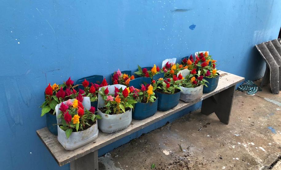 Matemática, Ciências, reciclagem, flores e muito aprendizado!