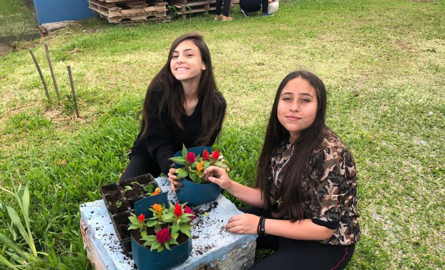 Matemática, Ciências, reciclagem, flores e muito aprendizado!