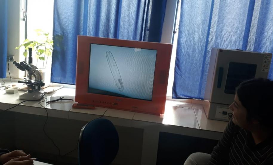 Alunos do 2º Ano em aula de campo.