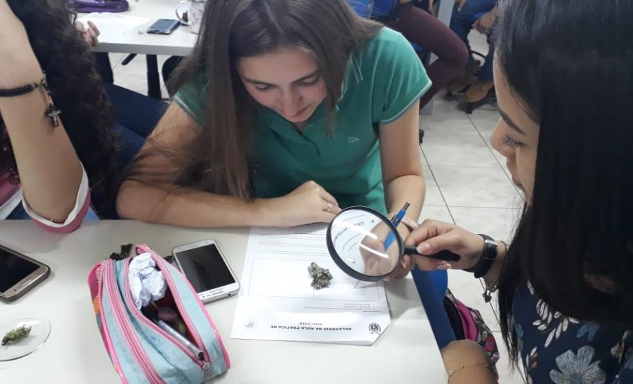Alunos do 2º Ano em aula de campo.