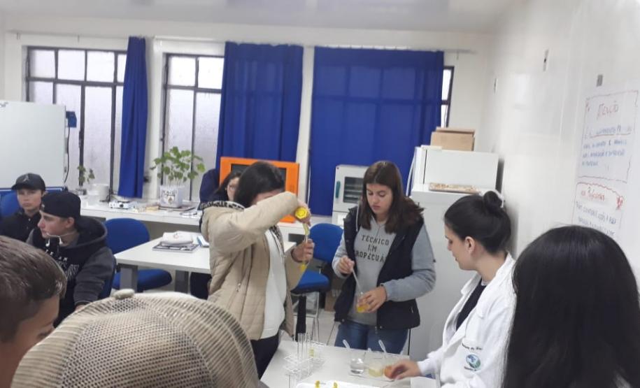 Aula prática sobre a atividade de enzimas proteolíticas extraídas de frutos.