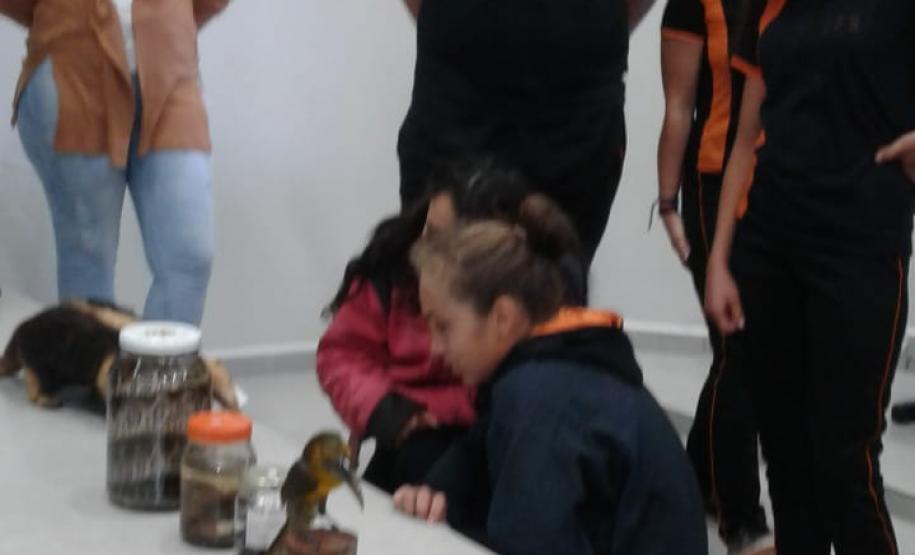 Palestra Prevenção e Cuidados com o Meio Ambiente no Colégio Est. de Segredo