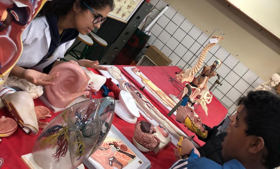 Alunos do Colégio Estadual Liane Martha da Costa vivenciam de forma lúdica o ensino de Ciências e Biologia