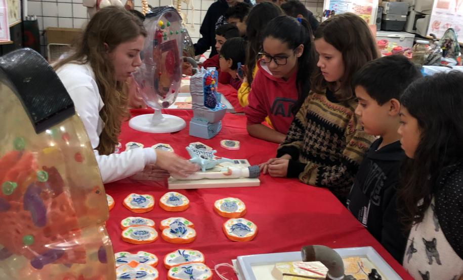 Alunos do Colégio Estadual Liane Martha da Costa vivenciam de forma lúdica o ensino de Ciências e Biologia