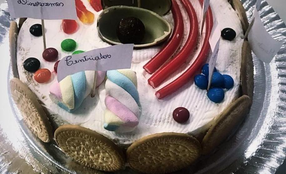 O lúdico fazendo parte das práticas em Biologia: atividade de construção de células comestíveis.