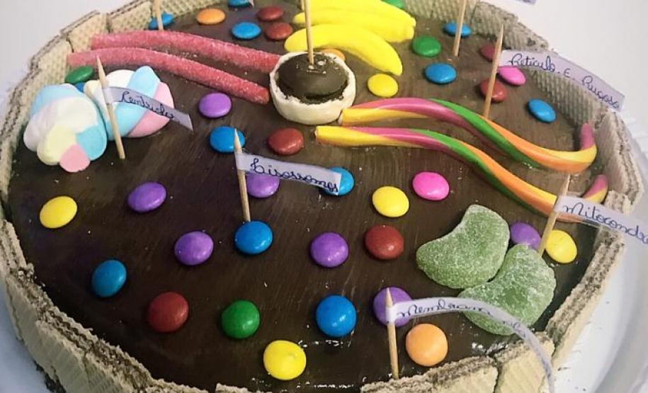 O lúdico fazendo parte das práticas em Biologia: atividade de construção de células comestíveis.