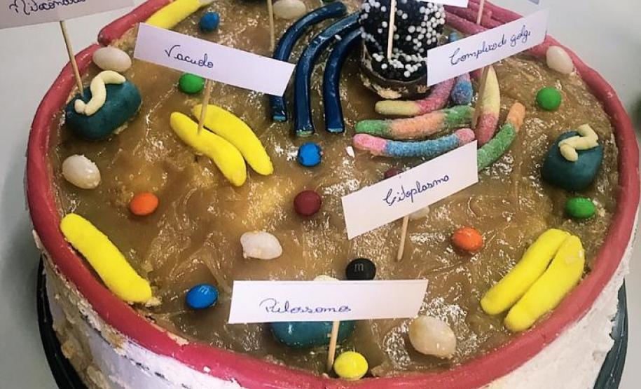 O lúdico fazendo parte das práticas em Biologia: atividade de construção de células comestíveis.