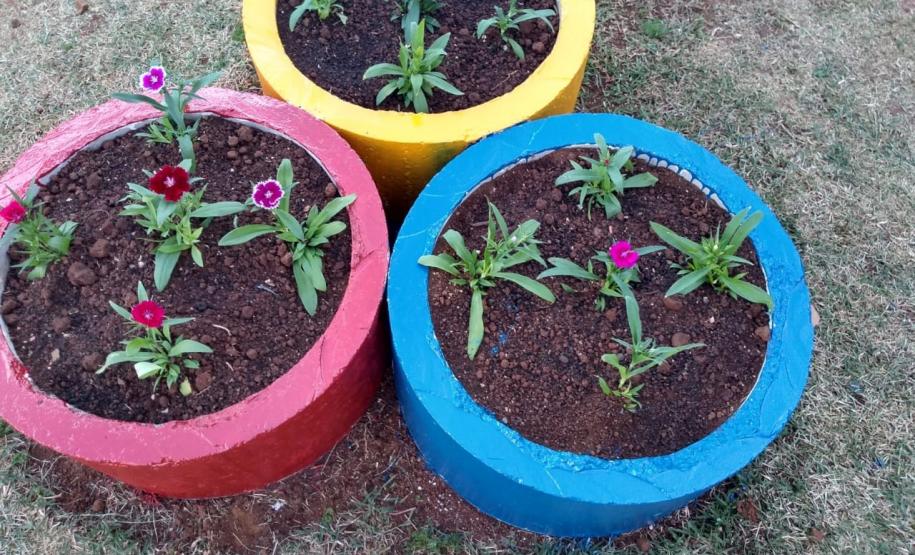 Projeto de Paisagismo e Jardinagem no Ambiente Escolar do Colégio Estadual Professor Amarílio.