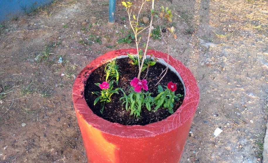 Projeto de Paisagismo e Jardinagem no Ambiente Escolar do Colégio Estadual Professor Amarílio.