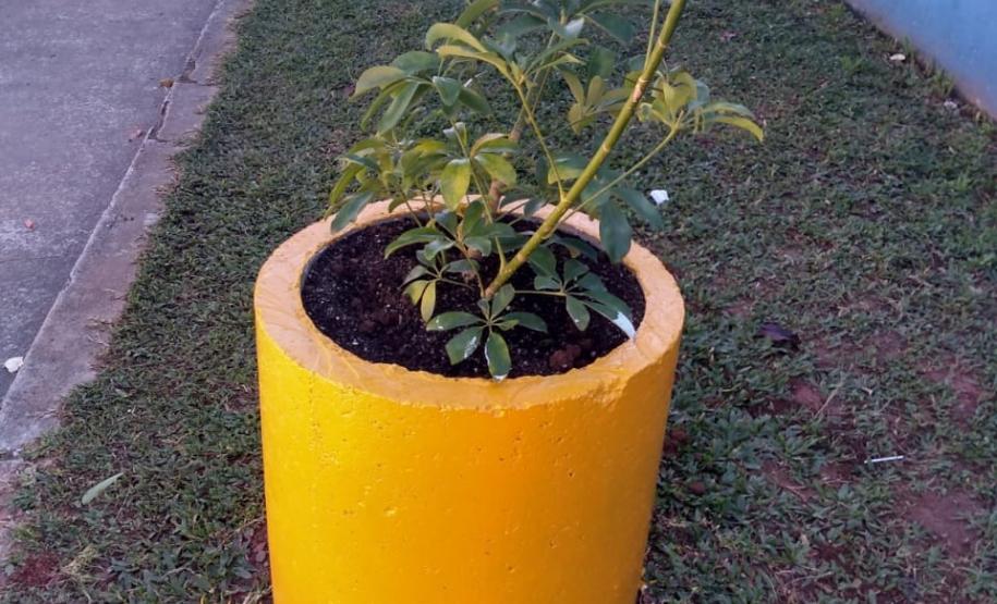 Projeto de Paisagismo e Jardinagem no Ambiente Escolar do Colégio Estadual Professor Amarílio.