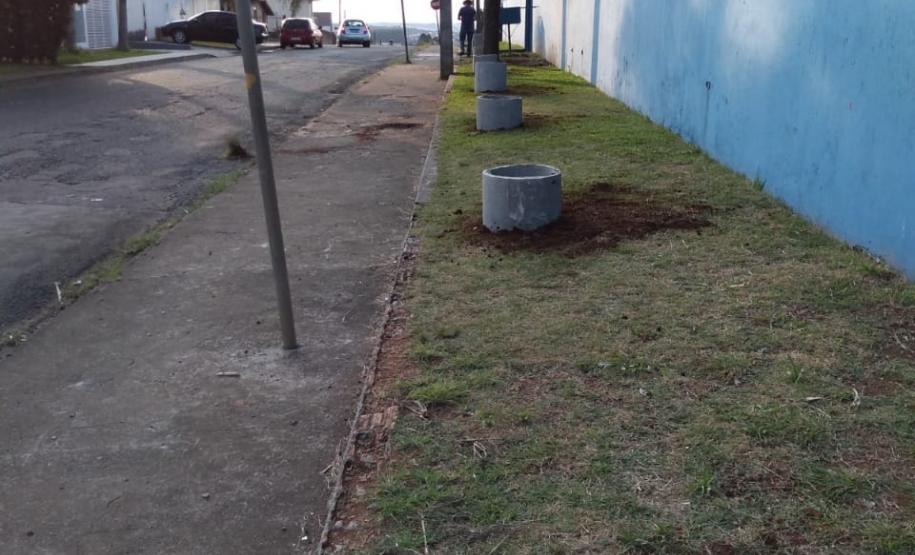 Projeto de Paisagismo e Jardinagem no Ambiente Escolar do Colégio Estadual Professor Amarílio.