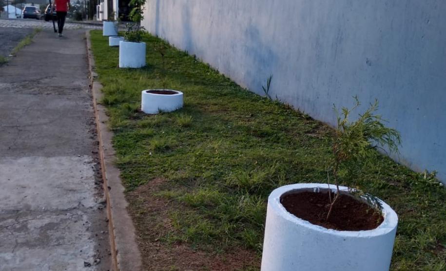 Projeto de Paisagismo e Jardinagem no Ambiente Escolar do Colégio Estadual Professor Amarílio.