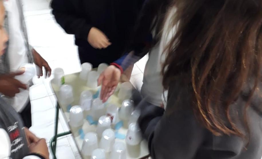 O lúdico nas aulas de ciências: aprendendo sobre cadeias e teias alimentares.