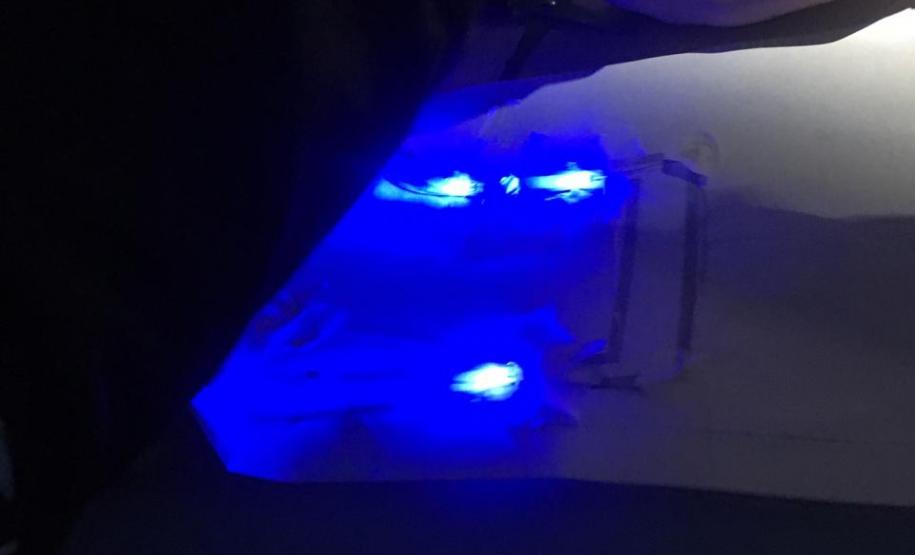 Oficinas de Aprendizagem Criativa no Colégio Estadual do Campo Cornélio Pires Ribeiro.