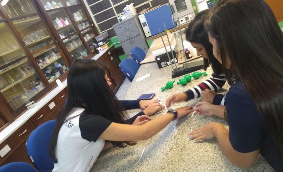 Nivelamento de aprendizagem de forma dinâmica e criativa.