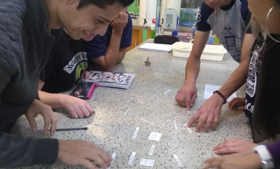 Nivelamento de aprendizagem de forma dinâmica e criativa.