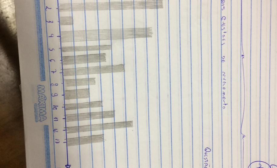 Nivelamento de aprendizagem com análise dos Descritores da Prova Paraná: uma prática de sucesso nas aulas de Química.