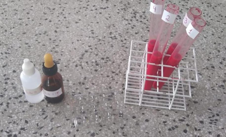 Aprendendo Sistema Sanguíneo ABO na prática: uma atividade de alunos dos Colégio Estadual Francisco Carneiro Martins