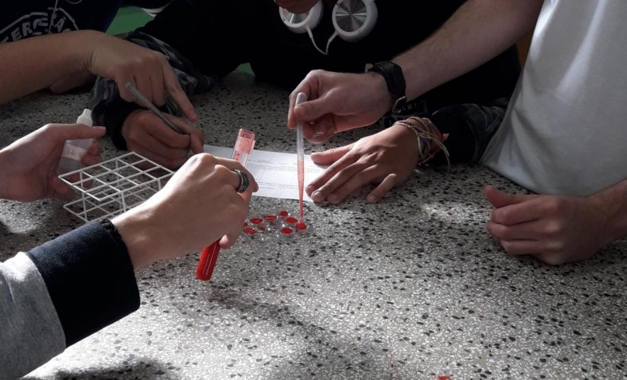 Aprendendo Sistema Sanguíneo ABO na prática: uma atividade de alunos dos Colégio Estadual Francisco Carneiro Martins