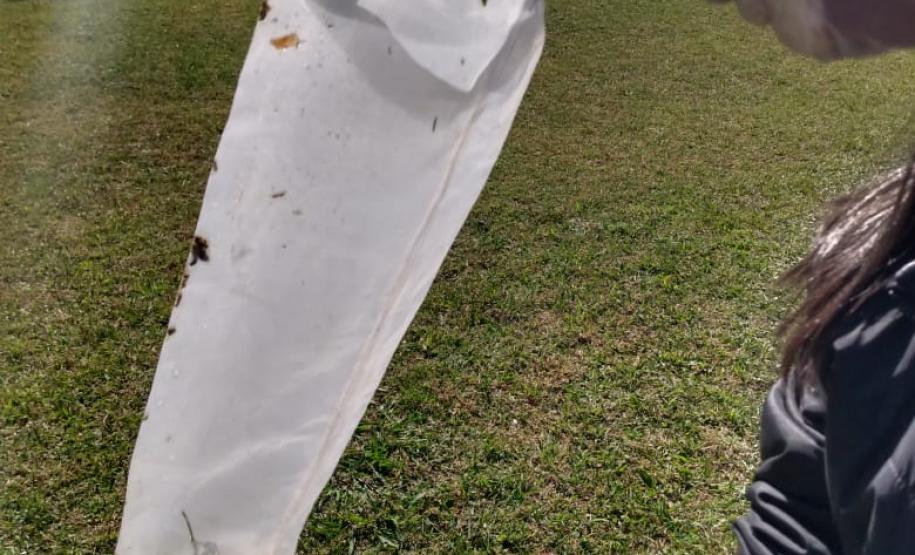 Alunos do curso Técnico em Meio Ambiente realizam coleta de material no Parque do Lago