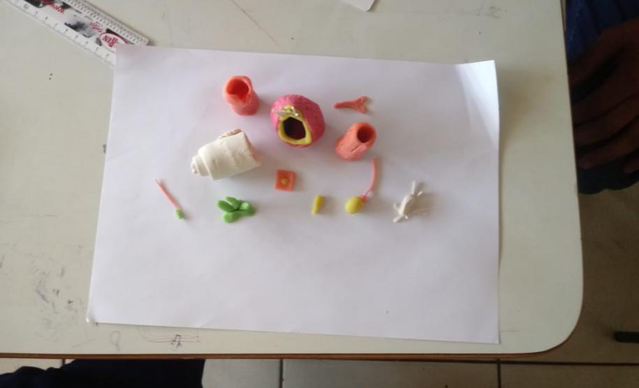 Alunos das 1ª Séries, do Colégio Estadual de Educação Profissional Arlindo Ribeiro - Agrícola, aprendem sobre genética de forma lúdica.