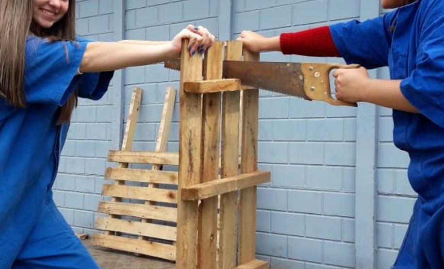 Olericultura em prática: uma parceria de sucesso dos alunos do CEEP Arlindo Ribeiro