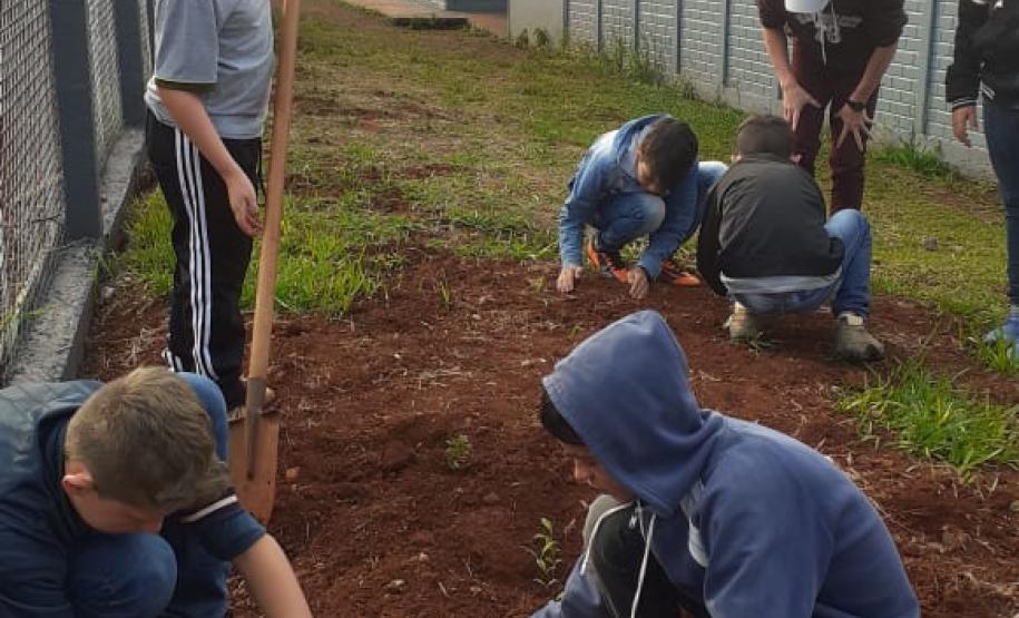 Instituições de Ensino do NRE Guarapuava participam do Programa Paraná Mais Verde
