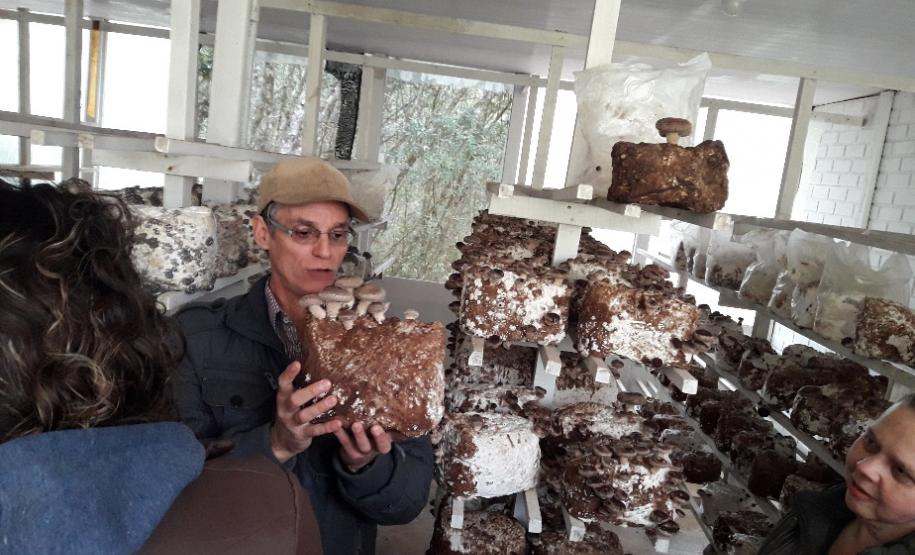 ações meio ambiente