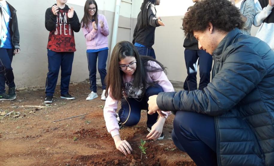 ações meio ambiente