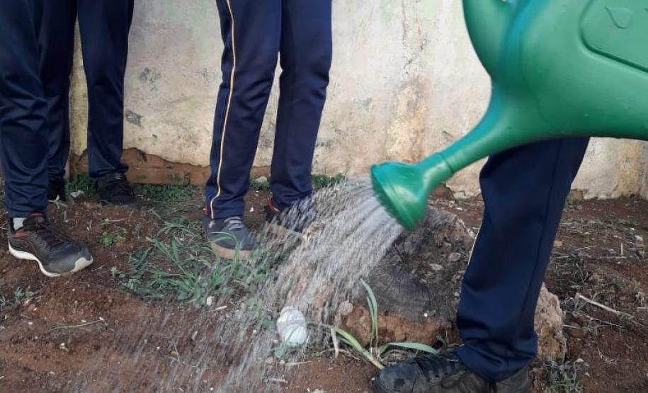 ações meio ambiente